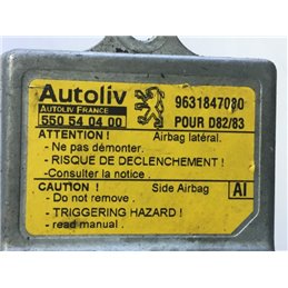 PEUGEOT 406 Break (8E/F) Légzsák Elektronika