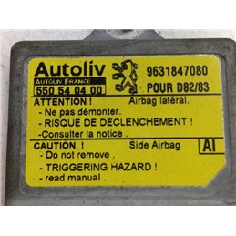 PEUGEOT 406 (8B) Légzsák Elektronika