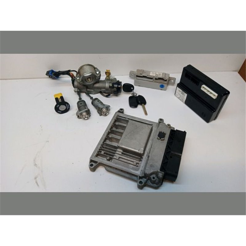 KIA CEED SW (ED) Immobilizer Elektronika