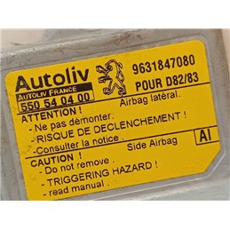 PEUGEOT 406 (8B) Légzsák Elektronika