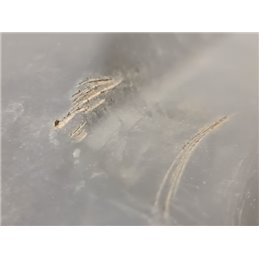 MERCEDES-BENZ E-CLASS Biztosítéktábla Fedél