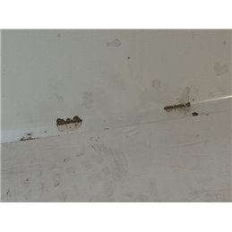 VW TRANSPORTER Motorháztető