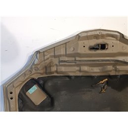 NISSAN PRIMERA Motorháztető