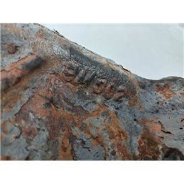 BMW 5 E39 Hátsó Differenciálmű