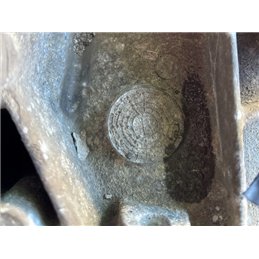 CITROËN XSARA PICASSO Váltó (Mechanikus)