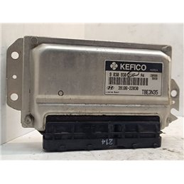 HYUNDAI GETZ Motorvezérlő