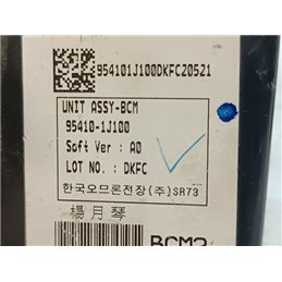 HYUNDAI i20 Immobilizer Elektronika