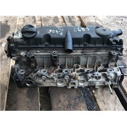 PEUGEOT 406 (8B) Hengerfej